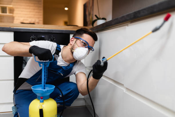 Best Best Pest Control Companies  in Bartonvle, IL