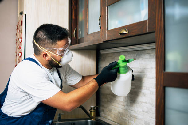 Best Best Pest Control Companies  in Bartonvle, IL