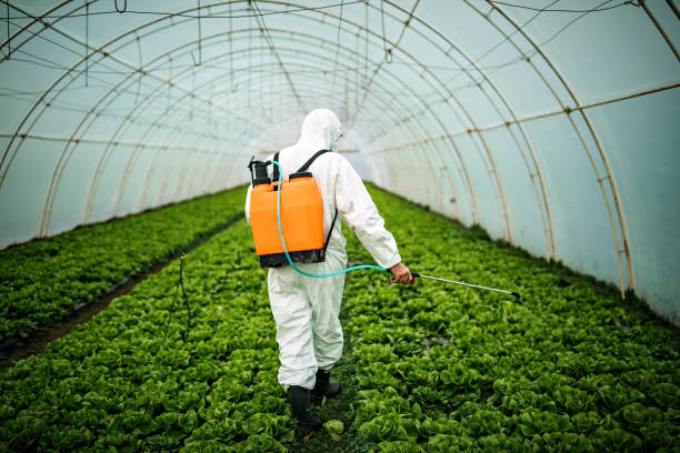 Pest Control for Restaurants in Bartonville, IL