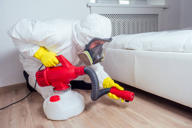 Best Flea Control Services  in Bartonvle, IL