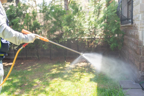 Best Local Pest Control Services  in Bartonvle, IL