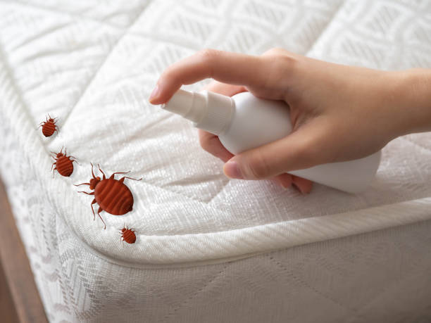 Best Pest Prevention Services  in Bartonvle, IL