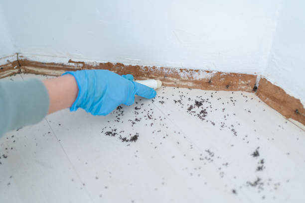 Best Wildlife Control Services  in Bartonvle, IL